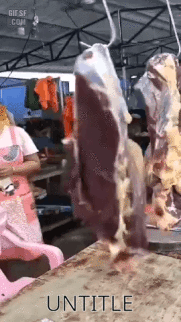 158496794662197.gif