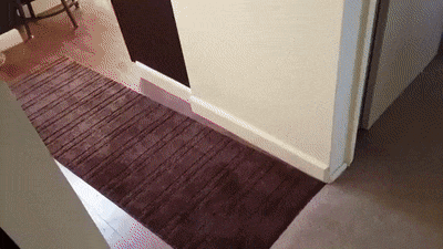 158538943566293.gif