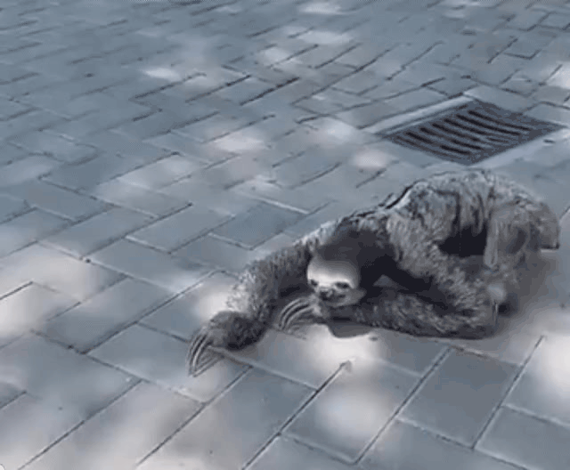 158539029866485.gif