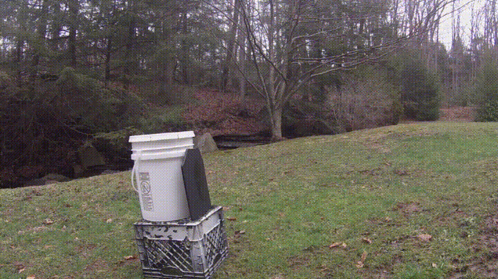 158539338827703.gif