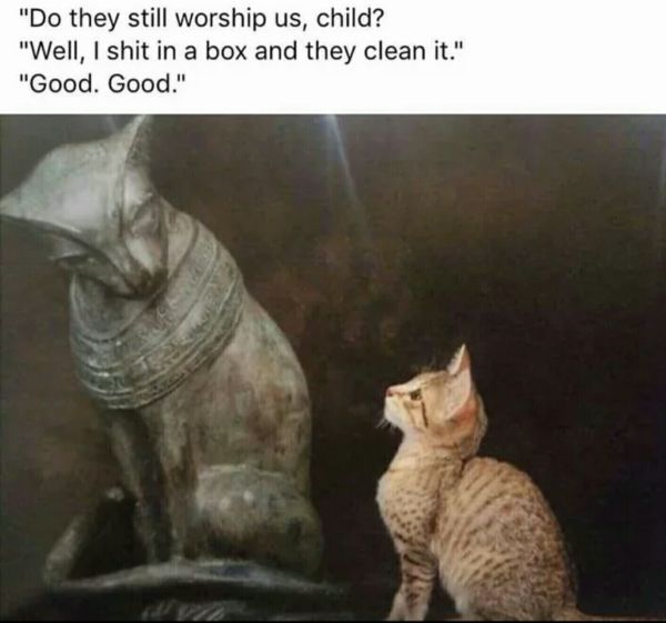 159006229876565.jpg