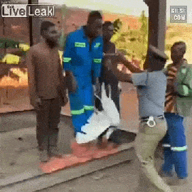 159009291690122.gif