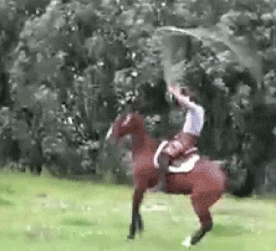 159009401628841.gif