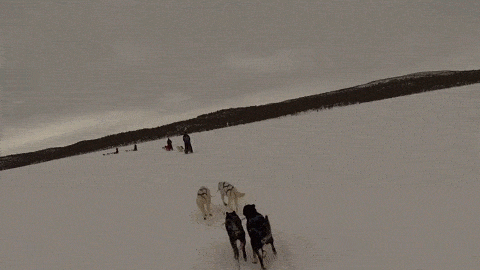 159229602311631.gif