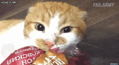 159246159495478.gif