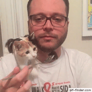 159246193225581.gif