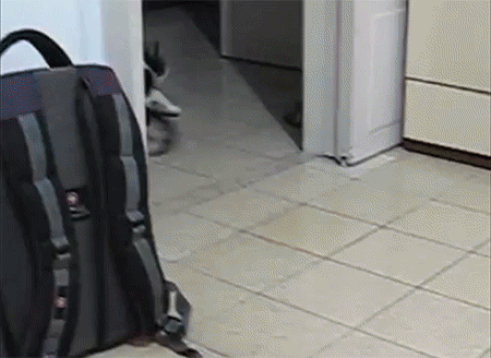 159278830233625.gif