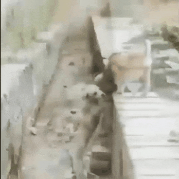 159279858030371.gif