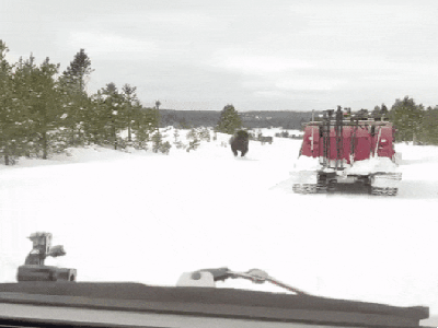 159321184557043.gif