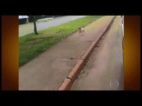 142566826067955.jpg