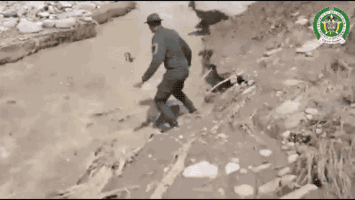 143876372662847.jpg
