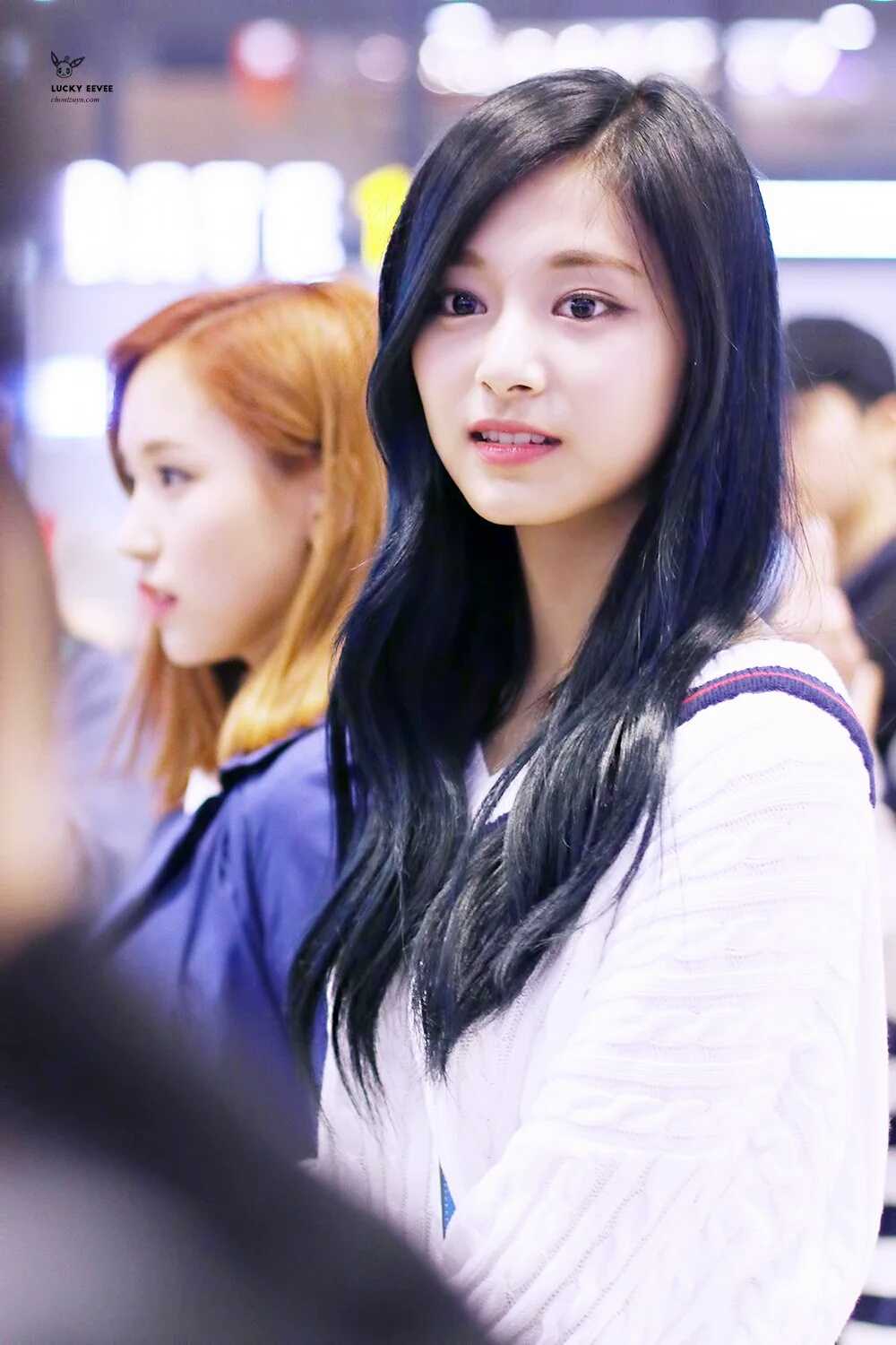 146026022724012.jpg
