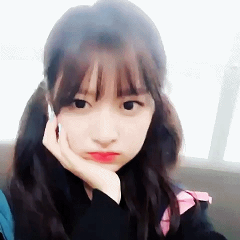 148922769547855.gif