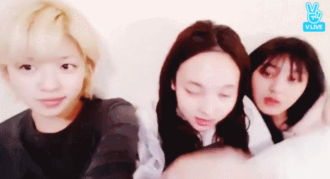 149066383164199.gif