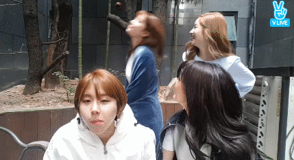 149085000194980.gif