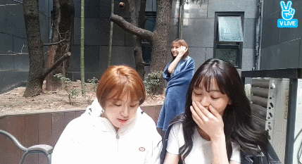 149085000298139.gif