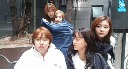 149085000623676.gif