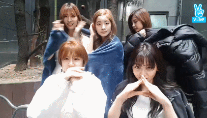 149085027656985.gif