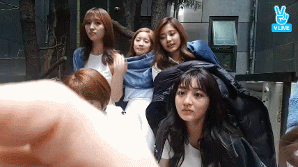 149085027841810.gif