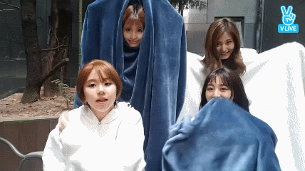 149085055791478.gif