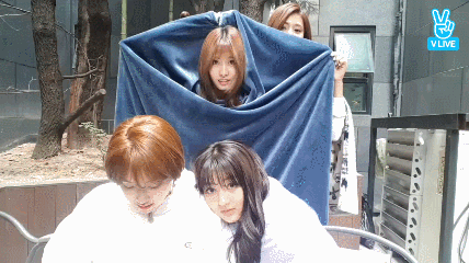 149085056093449.gif