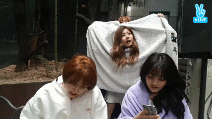 149085056162444.gif