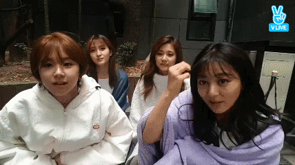149085056515589.gif