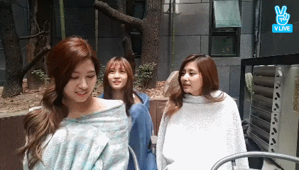 149085057041530.gif