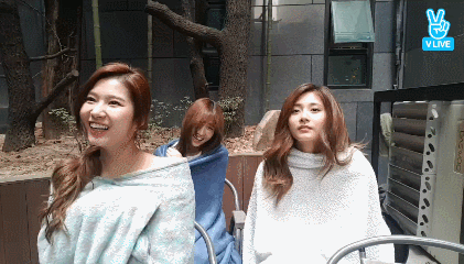 149085057638757.gif