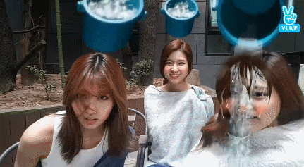 149085152387036.gif