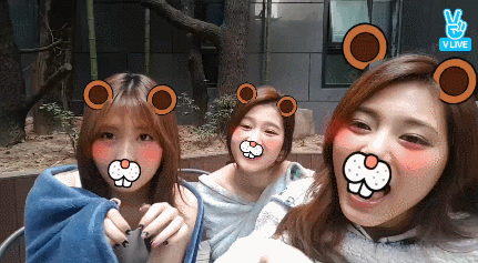 149085154011912.gif