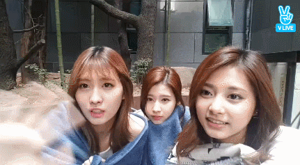 149085187768286.gif