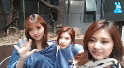 149085187892755.gif