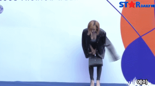 149085287952695.gif