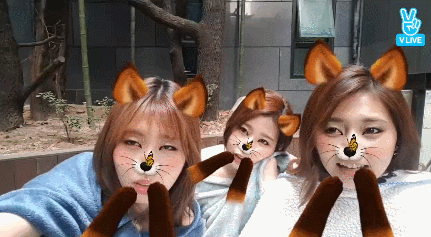 149092854550671.gif