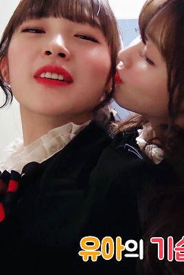 149109782529138.gif