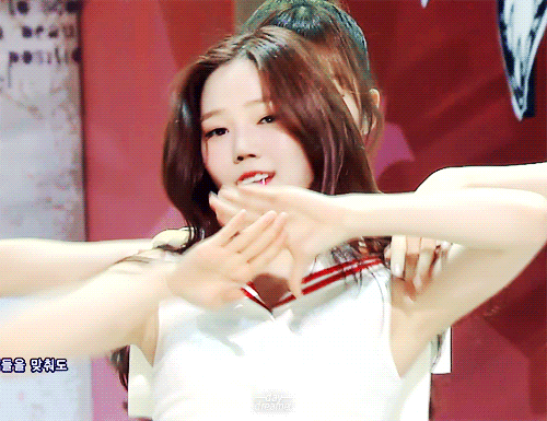149234880428101.gif