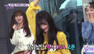 149438390276829.gif