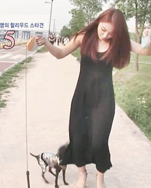 150175172369212.gif