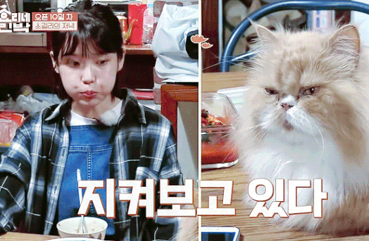 150456864556816.gif