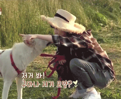 150456865651507.gif