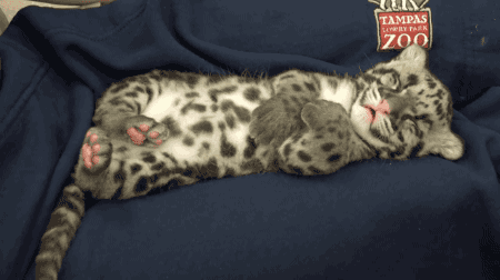 150668161872491.gif