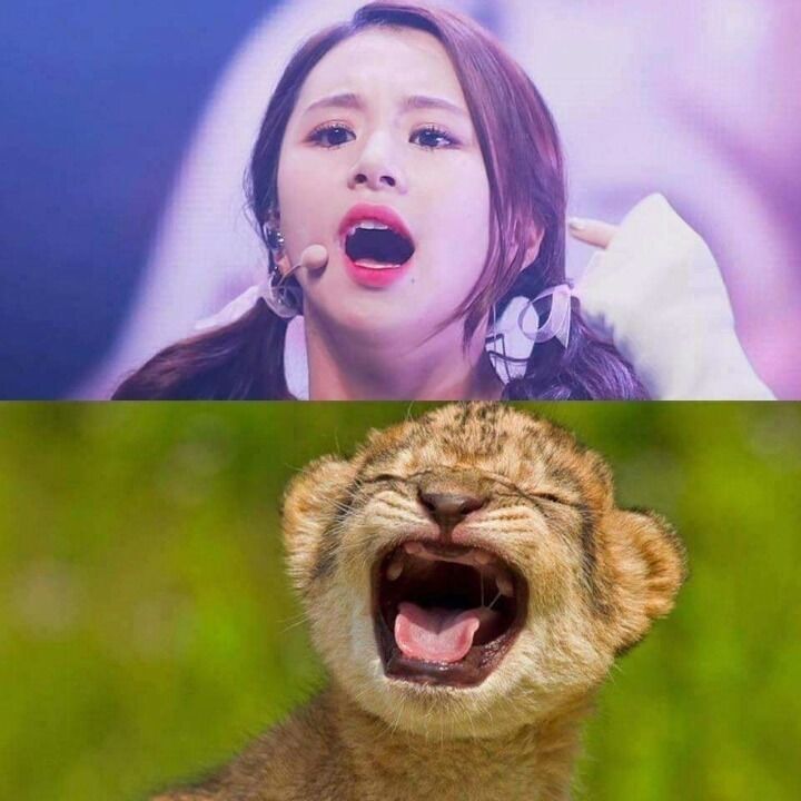 150668162080439.jpg
