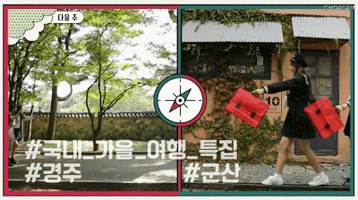 150806034458019.gif