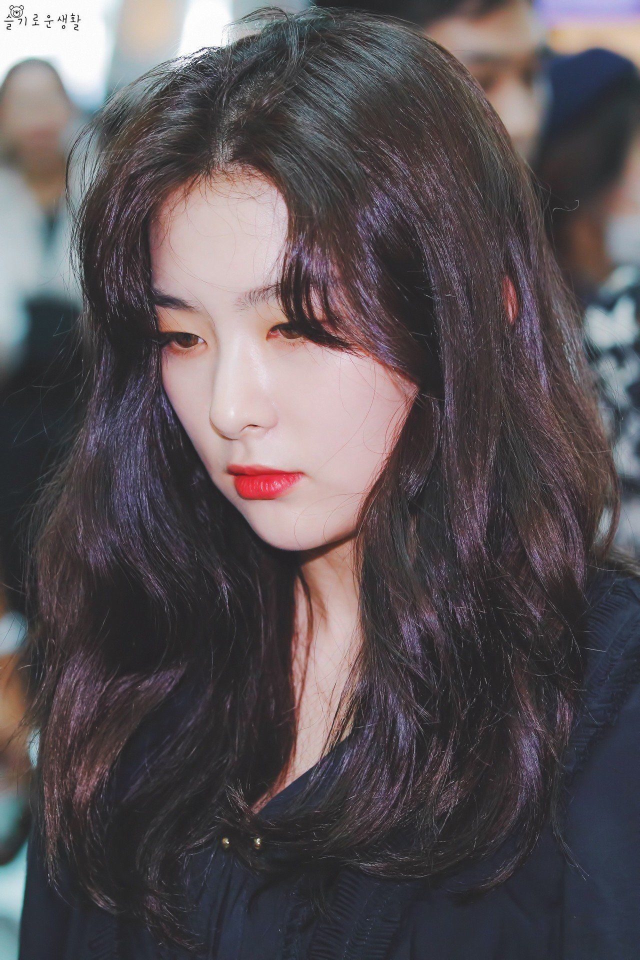 153109146278856.jpg