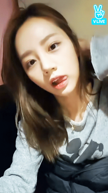 153113399715644.gif