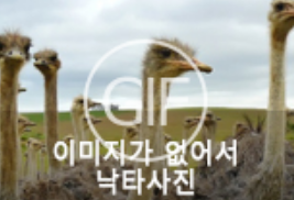 153275480891736.PNG