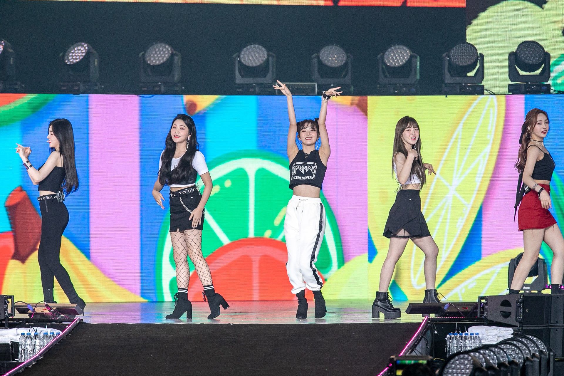 153117741113306.jpg