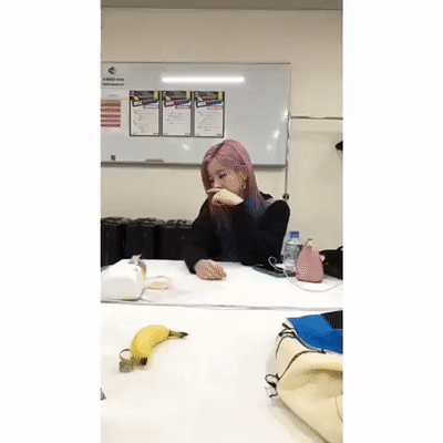 154154099647491.gif