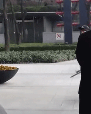 154941361127405.gif